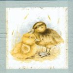 1257 - 5 servetten