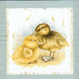 1257 - 5 servetten