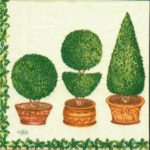 1259 - 5 servetten