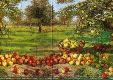 1399 - 5 servetten