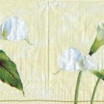 1775 - 5 servetten