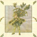 1956 - 5 servetten