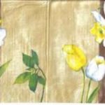 2285 - 5 servetten