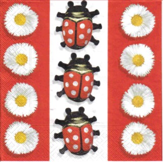 2551 - 5 servetten