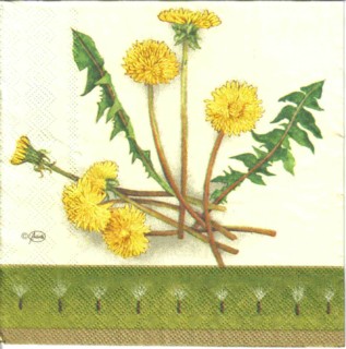 2558 - 5 servetten