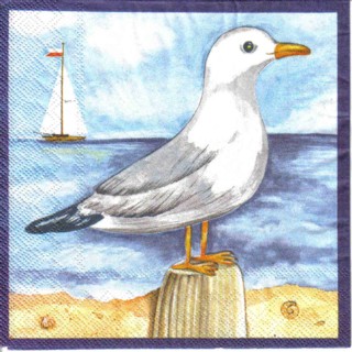 2577 - 5 servetten