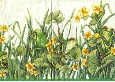 2626 - 5 servetten