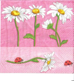 2649 - 5 servetten