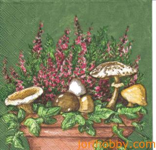 2879 - 5 servetten