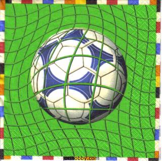 3064 - 5 servetten
