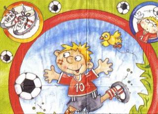 3101 - 5 servetten