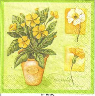 3162 - 5 servetten