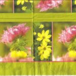 5037 - 5 servetten