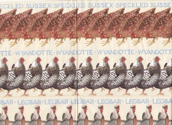 5909 - 5 servetten