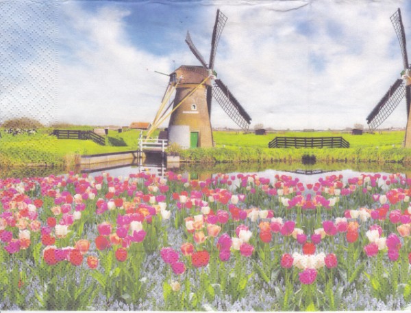 8555 - 5 servetten