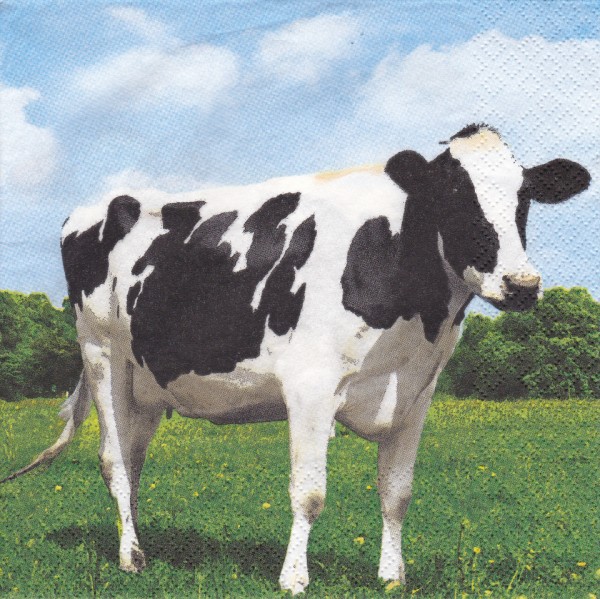 8562 - 5 servetten