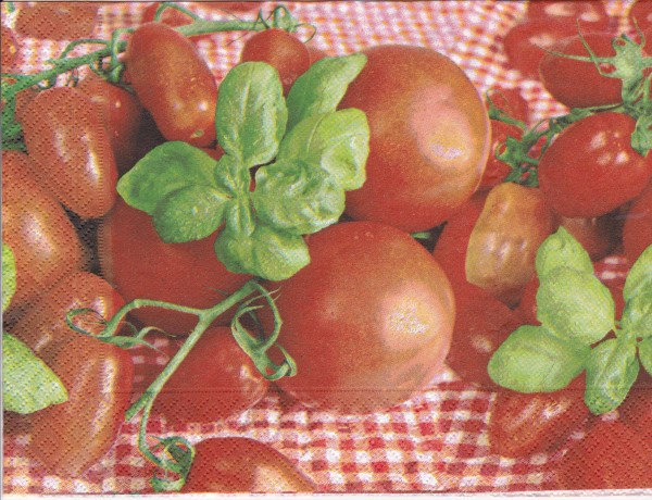 9080 - 5 servetten