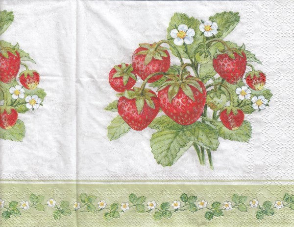 9289 - 5 servetten