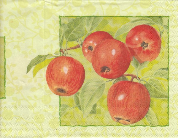 9657 - 5 servetten