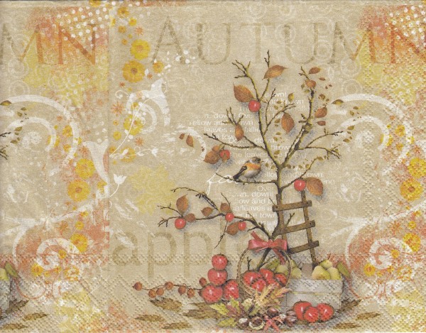 9666 - 5 servetten