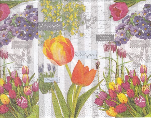 9707 - 5 servetten