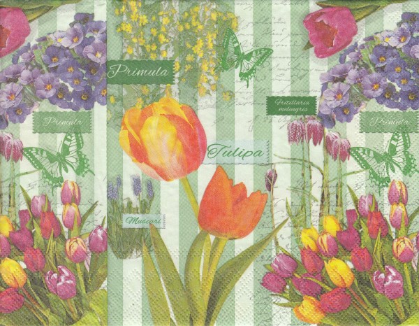 9709 - 5 servetten