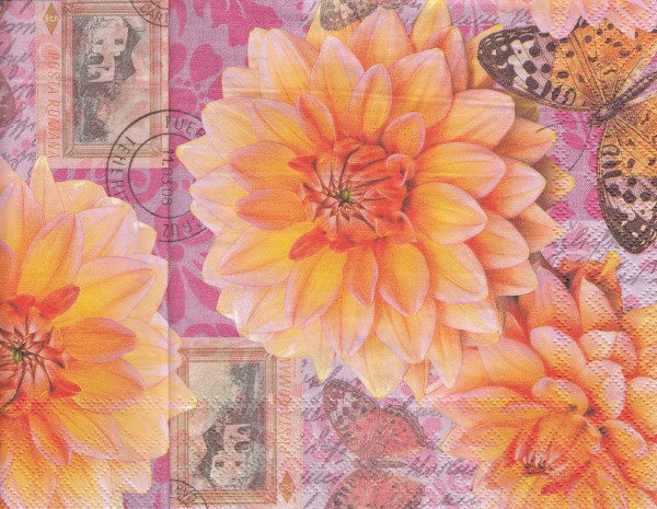 9855 - 5 servetten