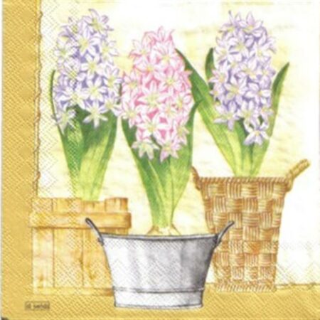 2197 - 5 servetten