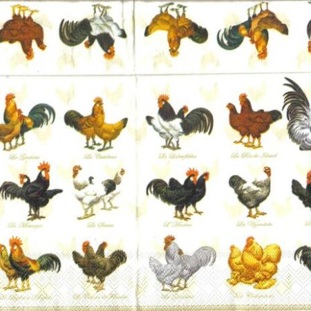 3374 - 5 servetten