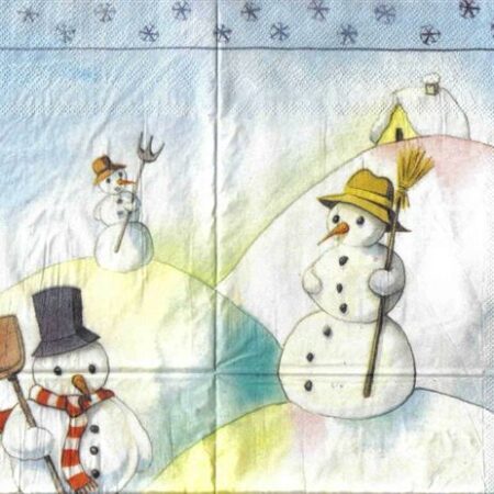 3677 - 5 servetten