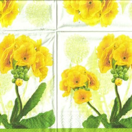 3793 - 5 servetten