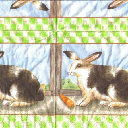 3988 - 5 servetten