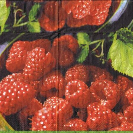 4094 - 5 servetten