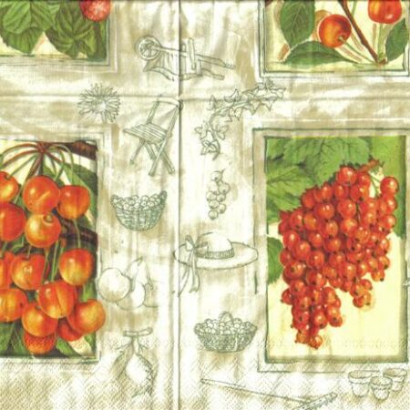 4097 - 5 servetten