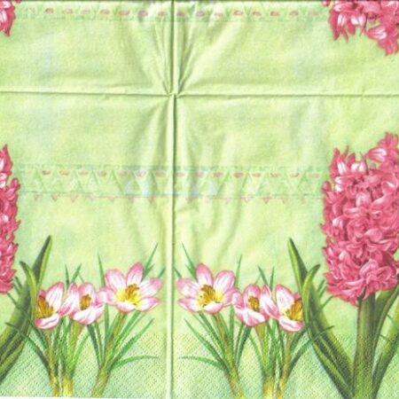 4332 - 5 servetten