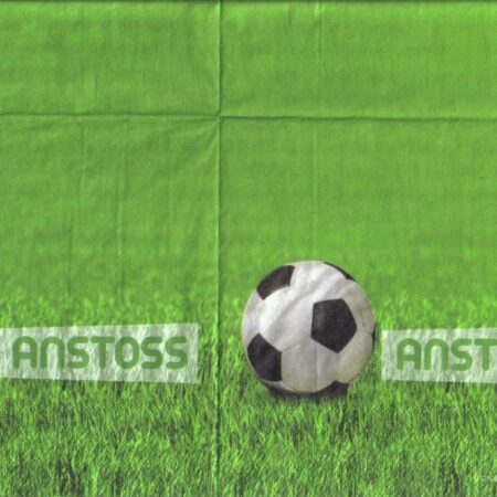 4906 - 5 servetten