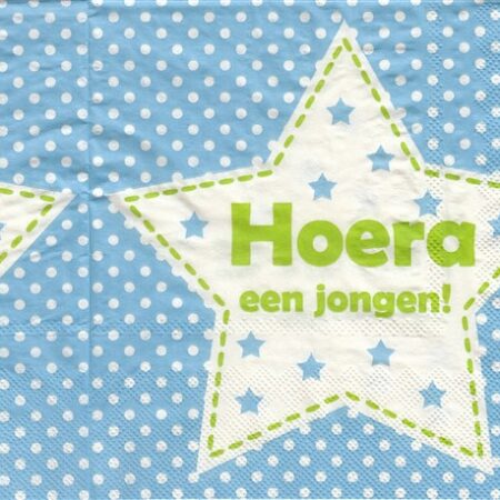 10114 - 5 servetten