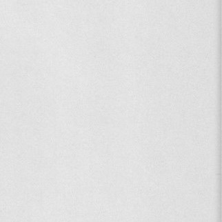 Vinyl per meter x 30 cm, frosted ets zilver