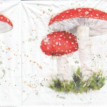 10248 - 5 servetten