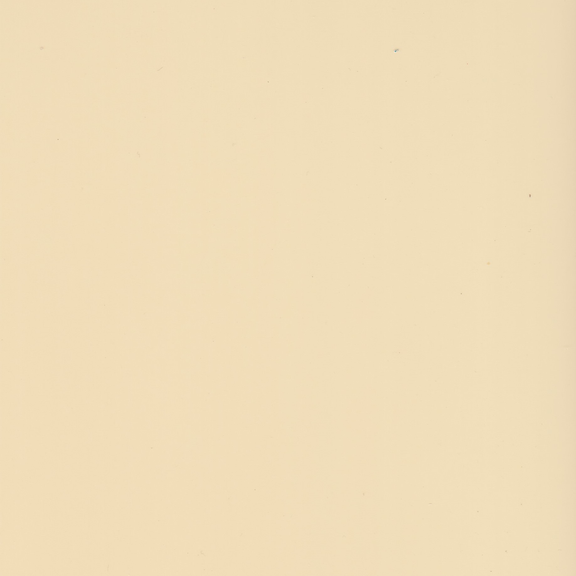 Beige - Politape