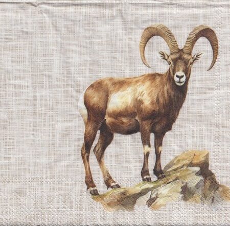 10858 - 5 servetten
