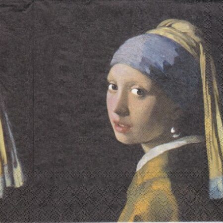 9207 - 5 servetten