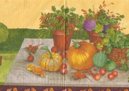 1294 - 5 servetten