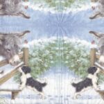 7811 - 5 servetten