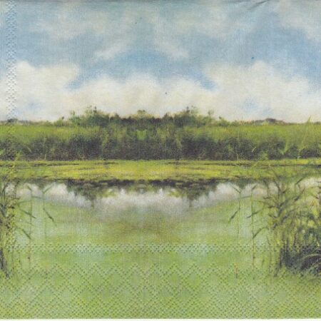 8940 - 5 servetten