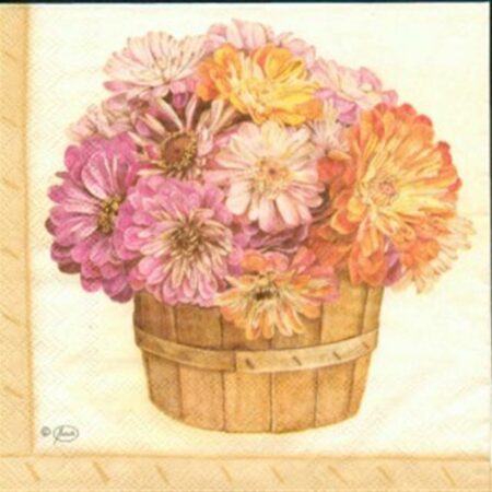 1820 - 5 servetten