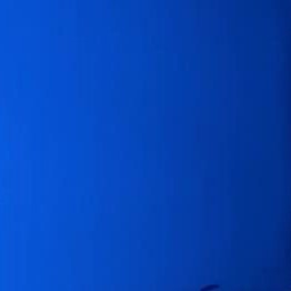 Donkerblauw metallic