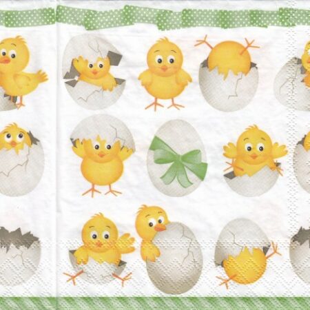 10025 - 5 servetten