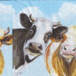10511 - 5 servetten