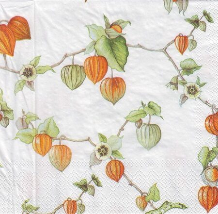 10686 - 5 servetten